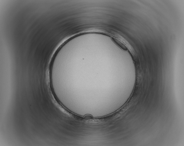 X0000111461092200908031334