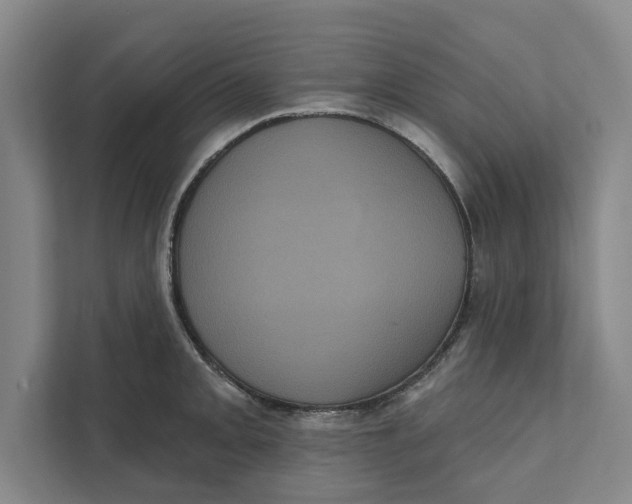 X0000111461093200908031334