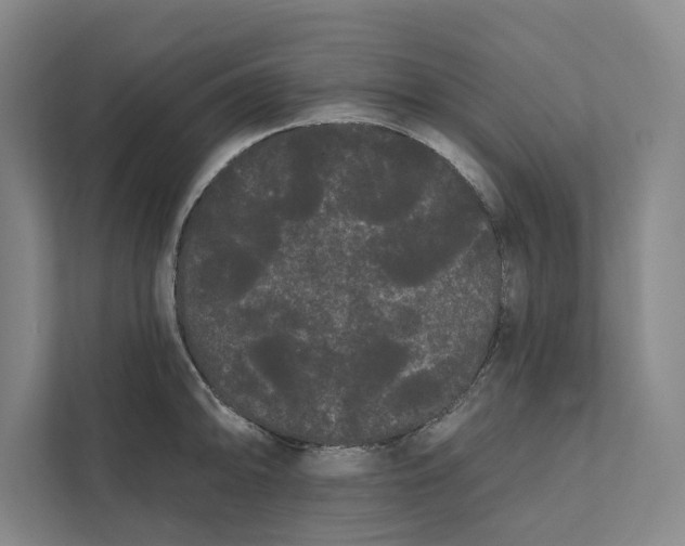 X0000111461094200908031334