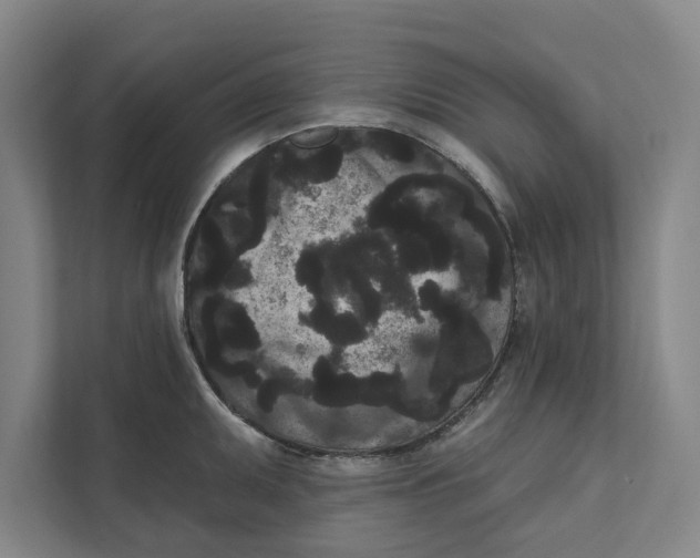 X0000111461095200908031334