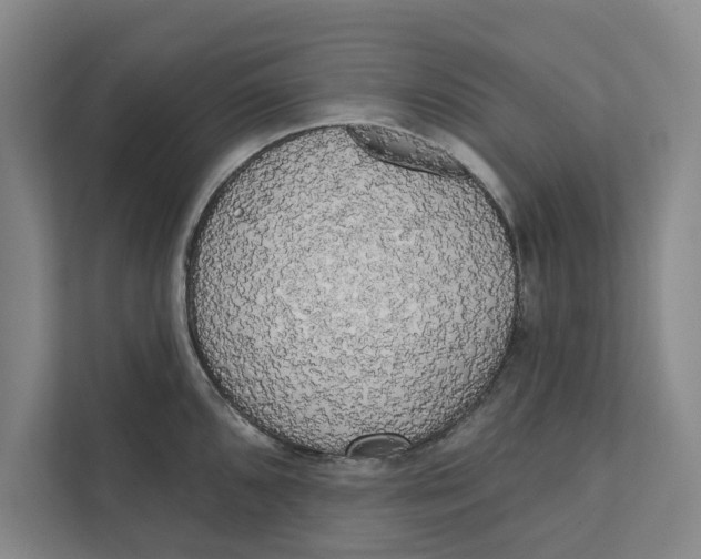 X0000111461096200908031334