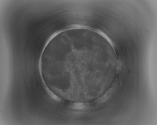 X0000111461098200908031334
