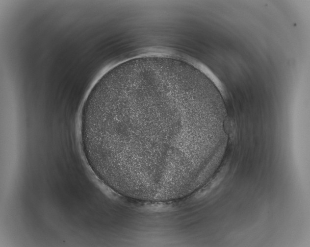 X0000111461099200908031334
