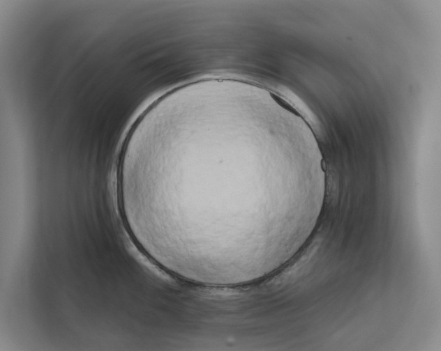 X0000111461100200908031334