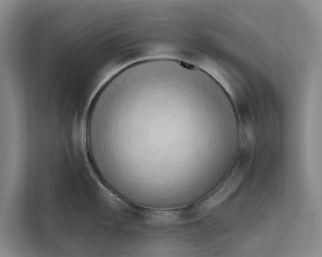 X0000111461101200908031334
