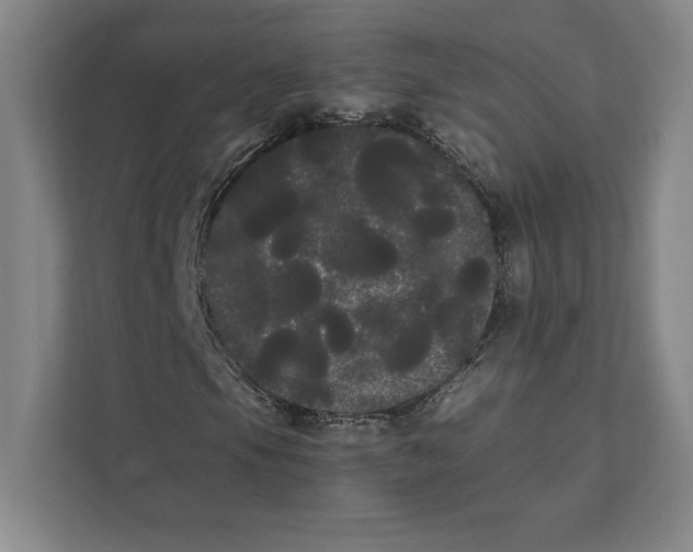 X0000111461105200908031334