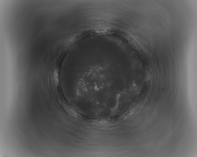 X0000111461106200908031334