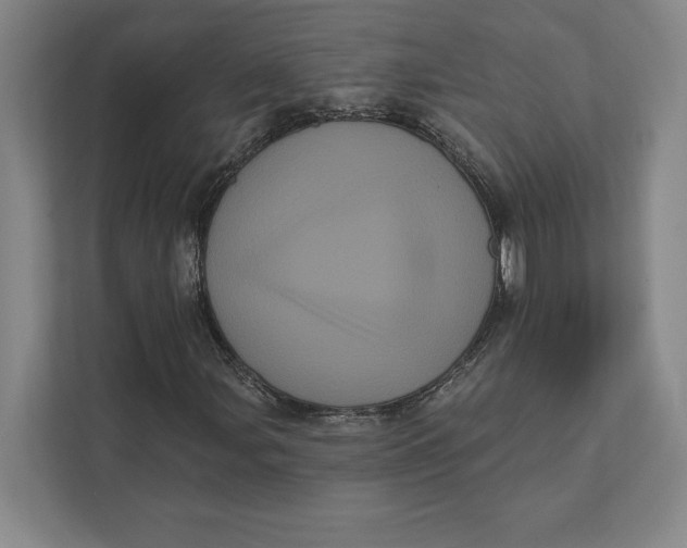 X0000111461107200908031334