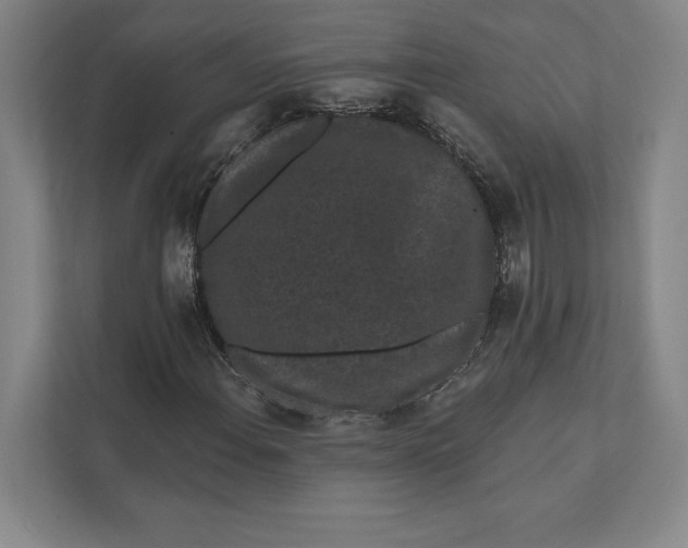 X0000111461108200908031334