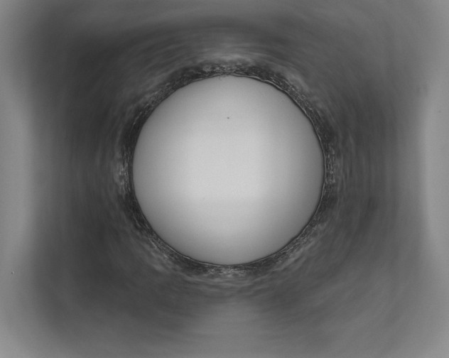 X0000111461109200908031334