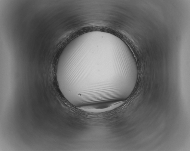 X0000111461110200908031334