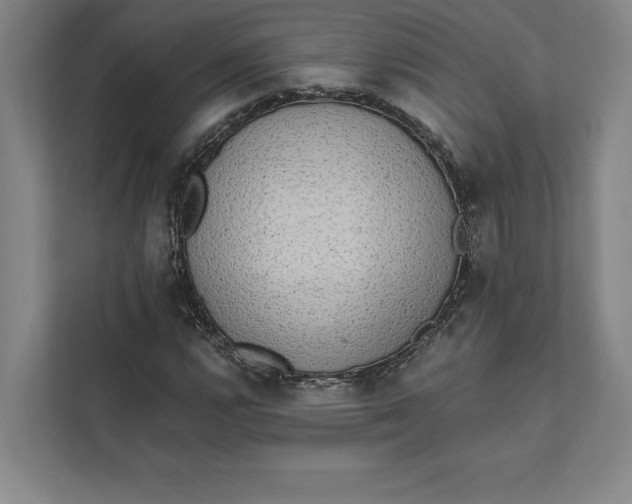 X0000111461112200908031334