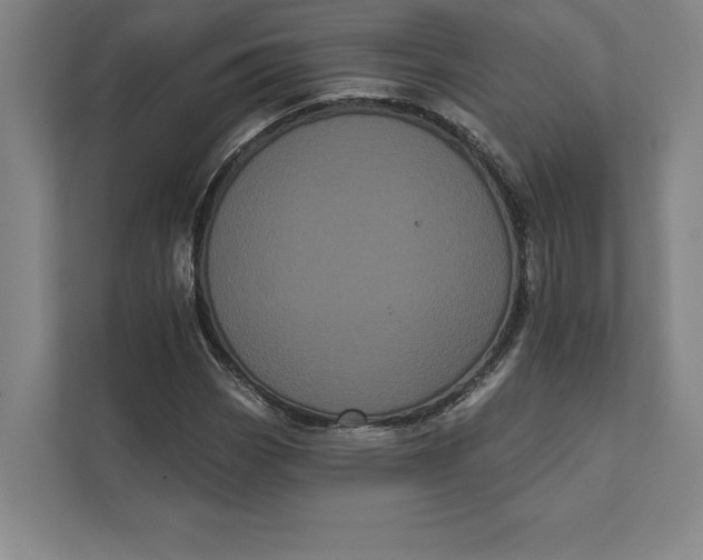X0000111461113200908031334