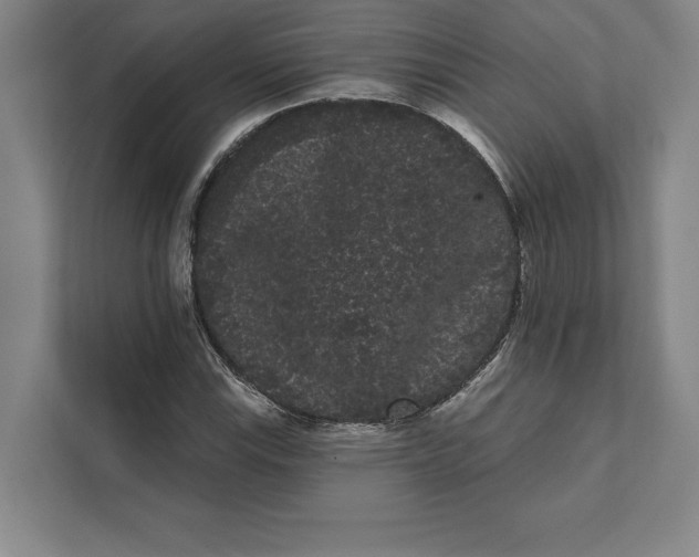 X0000111461115200908031334