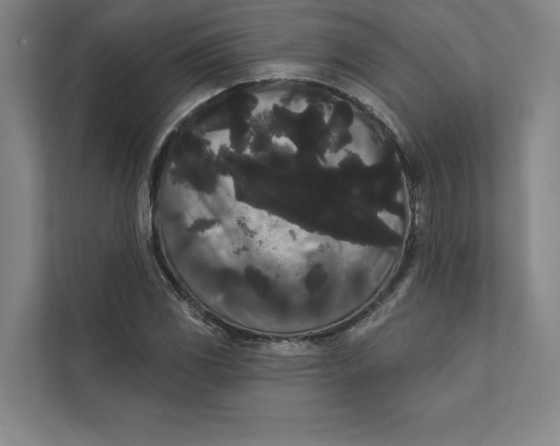 X0000111461117200908031334