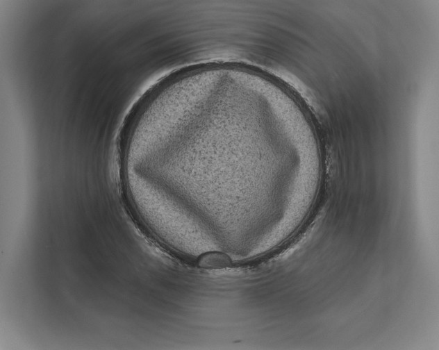 X0000111461118200908031334