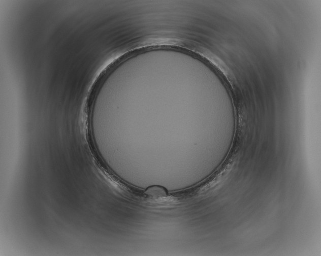 X0000111461119200908031334