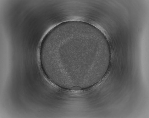 X0000111461120200908031334