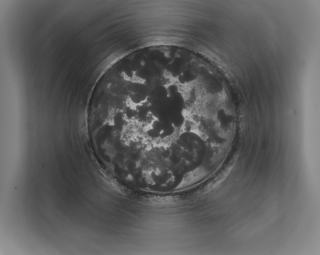 X0000111461121200908031334