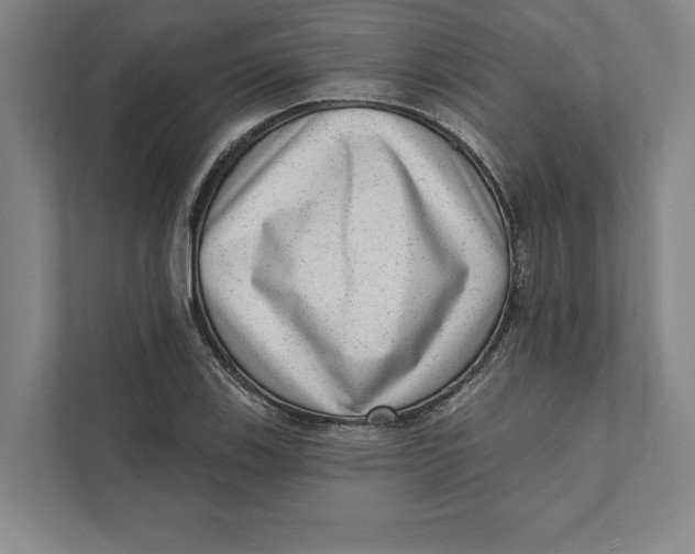 X0000111461123200908031334