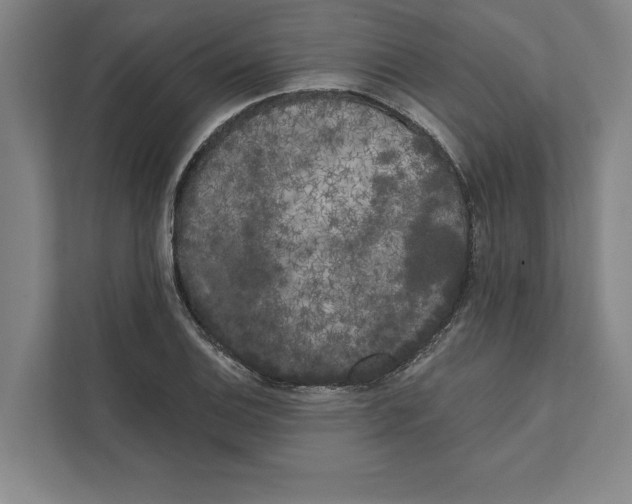 X0000111461124200908031334