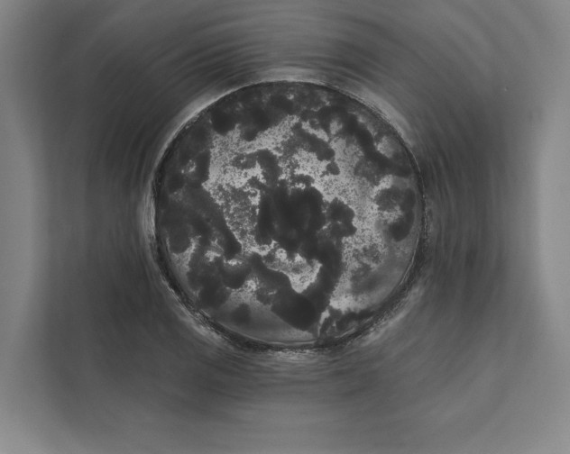 X0000111461125200908031334