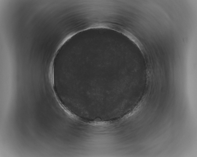 X0000111461127200908031334