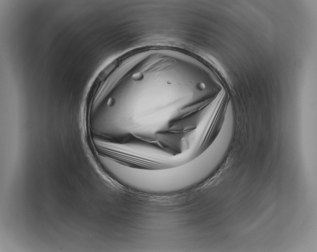 X0000111461128200908031334