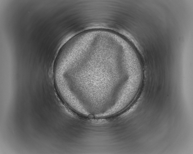 X0000111461129200908031334