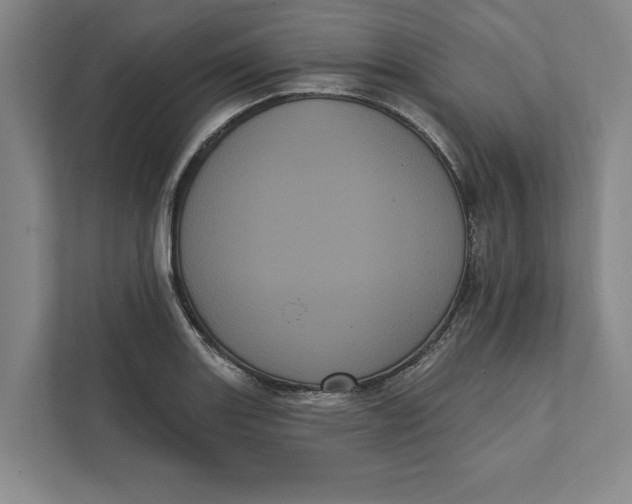 X0000111461131200908031334