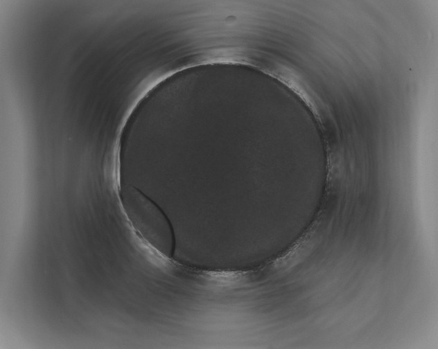X0000111461132200908031334