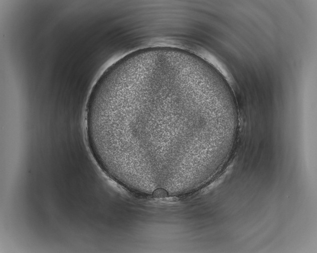 X0000111461133200908031334