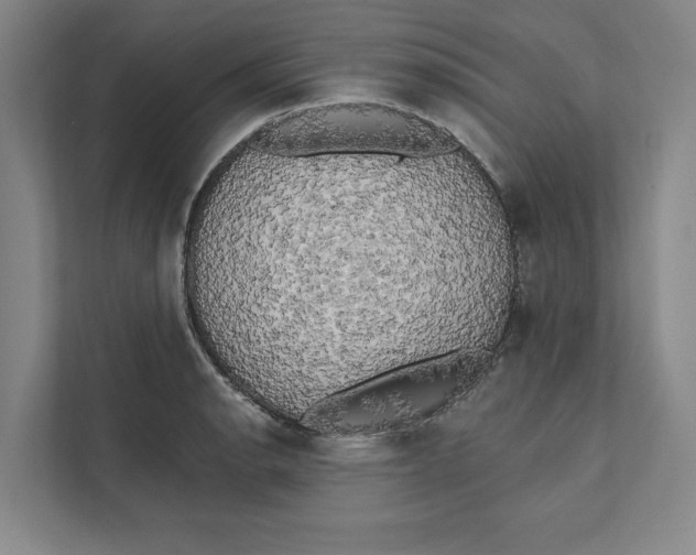 X0000111461134200908031334