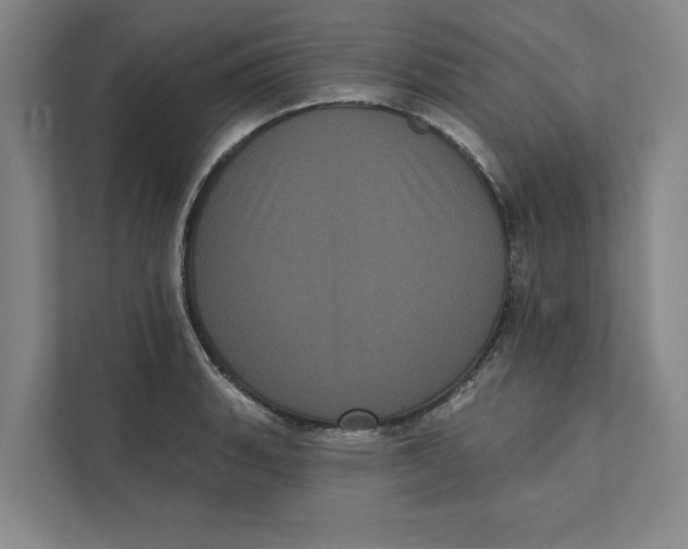X0000111461135200908031334