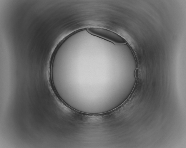 X0000111461136200908031334