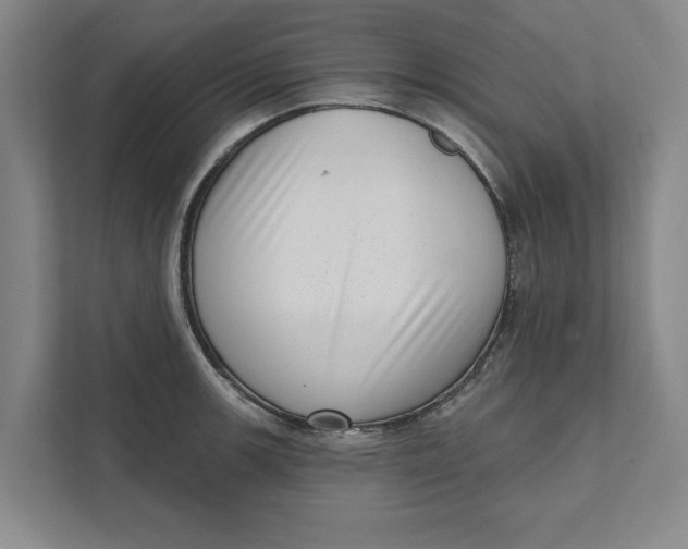 X0000111461139200908031334