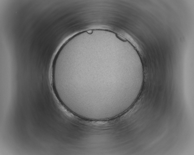 X0000111461140200908031334