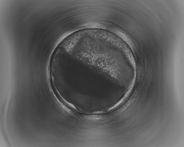 X0000111461141200908031334