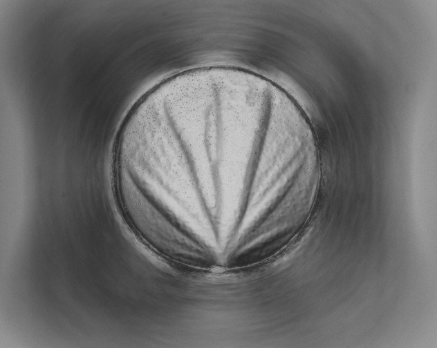 X0000111461142200908031334