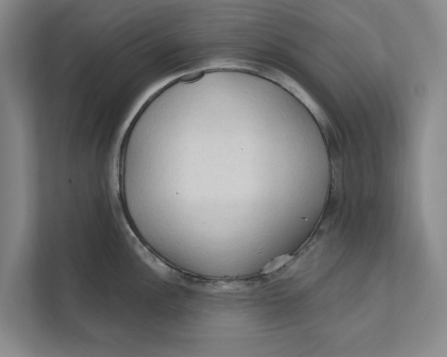 X0000111461148200908031334
