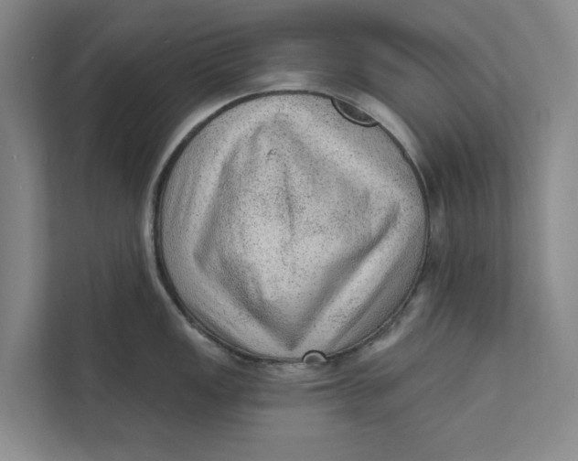 X0000111461149200908031334