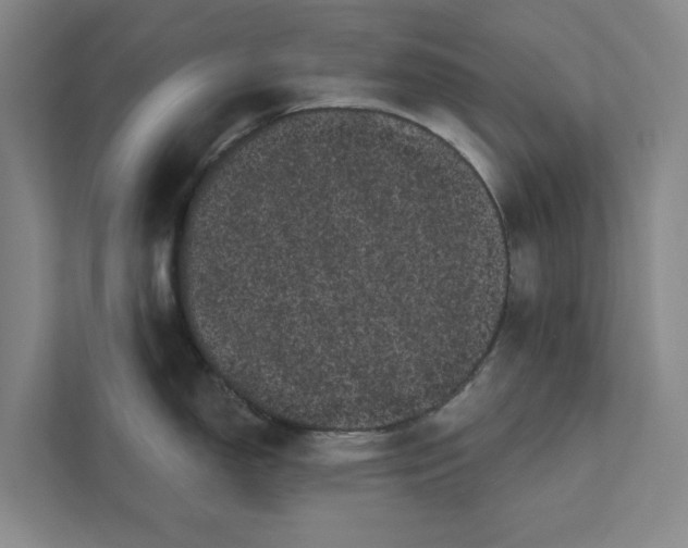 X0000111461150200908031334