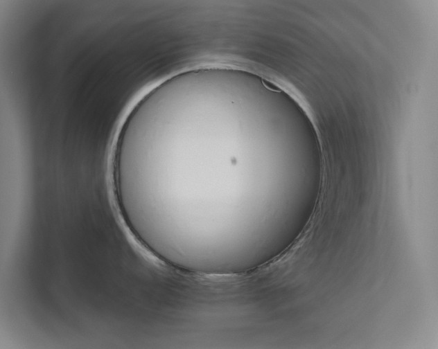 X0000111461152200908031334