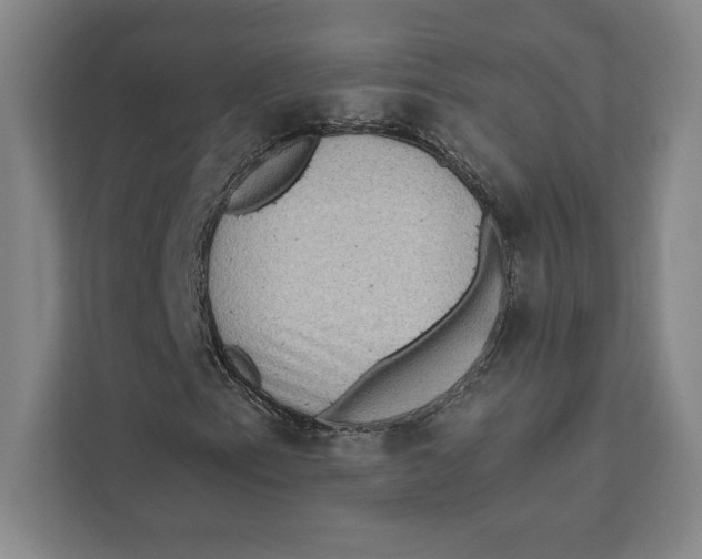 X0000111461153200908031334