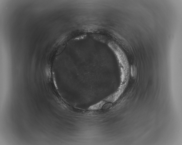 X0000111461155200908031334