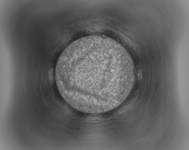 X0000111461156200908031334
