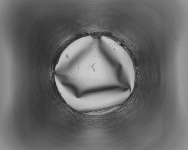 X0000111461157200908031334