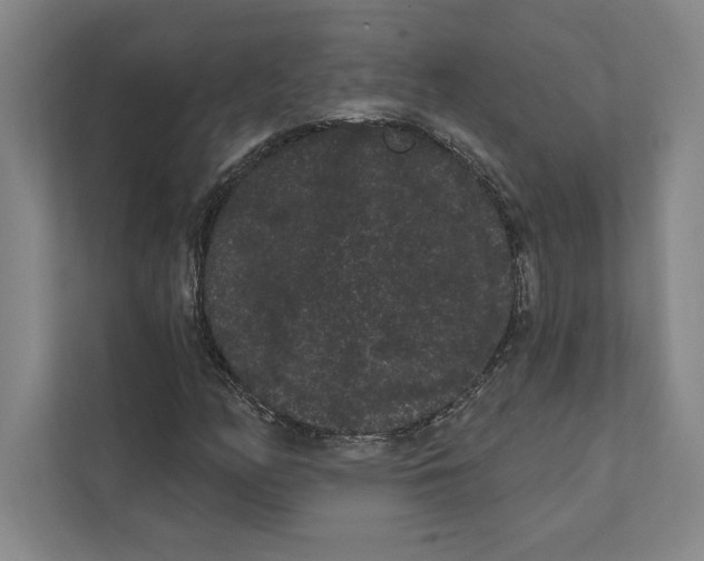 X0000111461158200908031334
