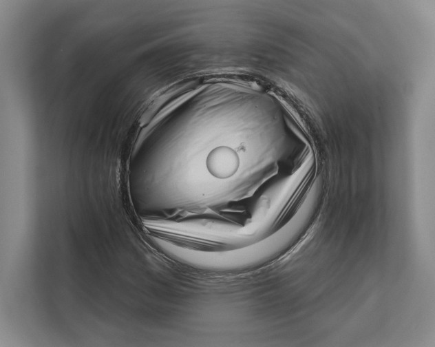 X0000111461161200908031334