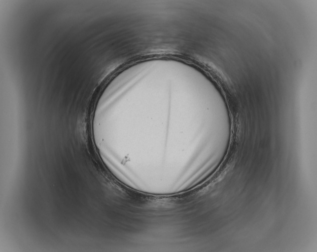 X0000111461162200908031334